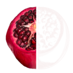Granatapfel2