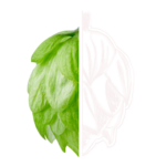 Hopfen2