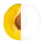 Mirabelle2