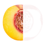 Pfirsisch2
